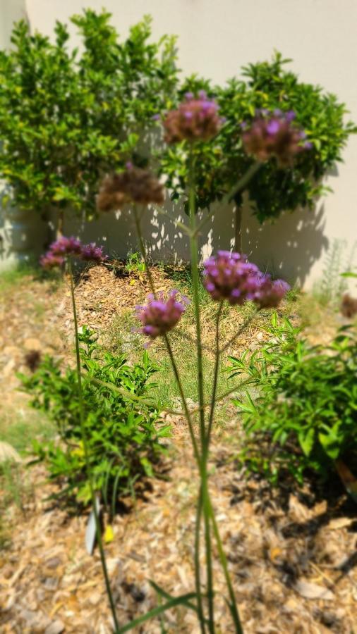 Chez Nous Dans Notre Petit Jardin