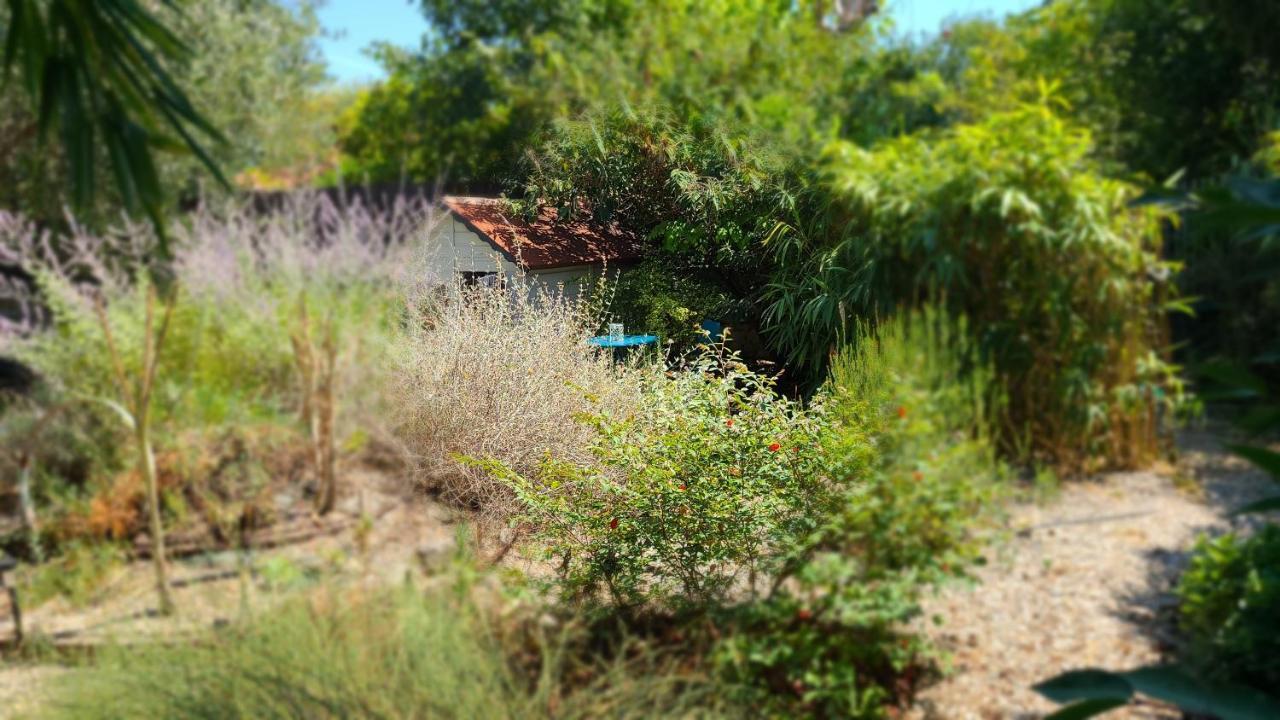 Chez Nous Dans Notre Petit Jardin *